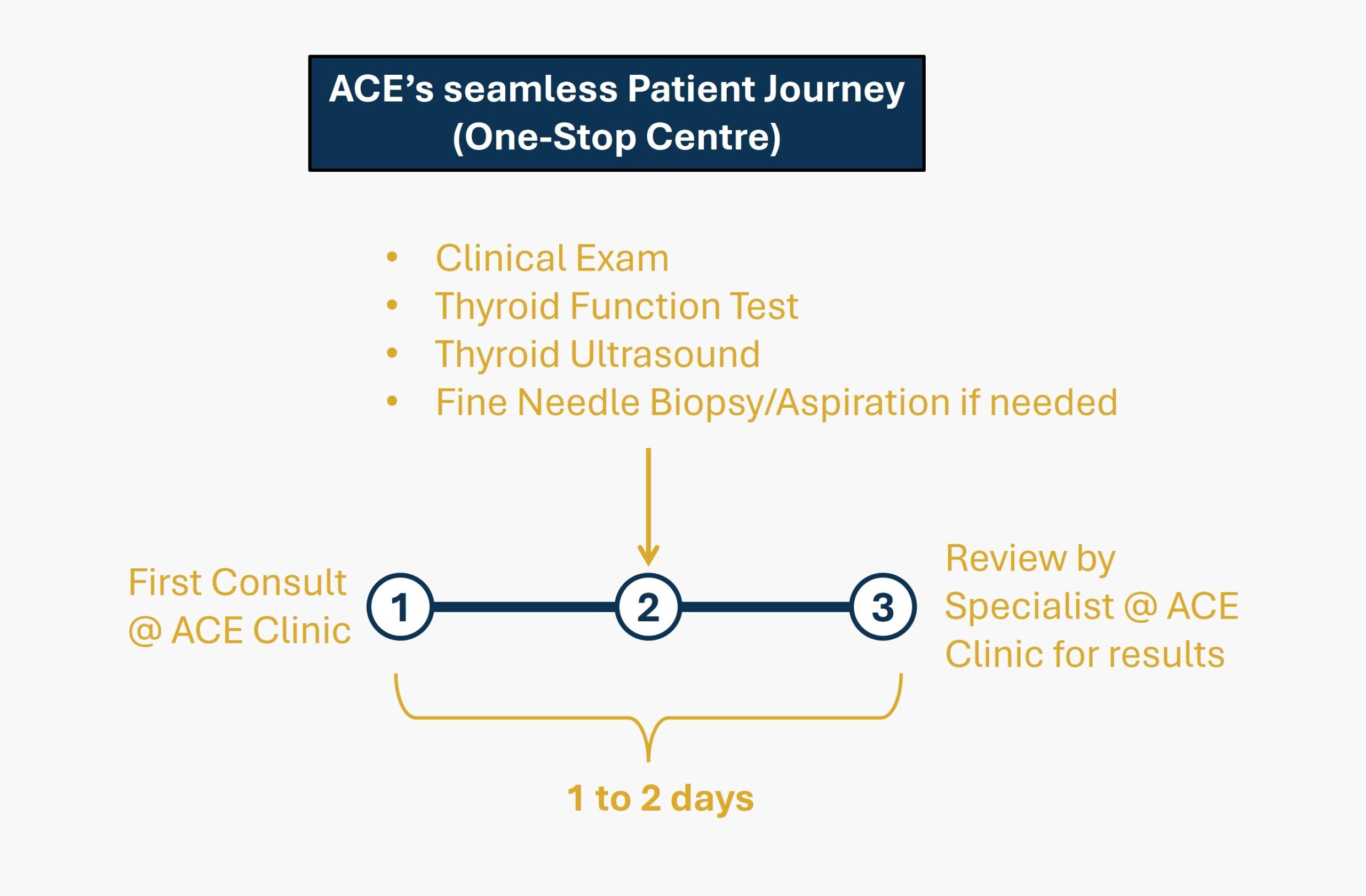 ACE Journey